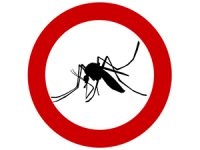 רשת נגד יתושים - לא צריך להמשיך לסבול