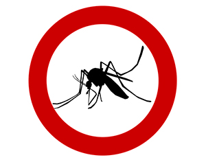 רשת נגד יתושים – לא צריך להמשיך לסבול