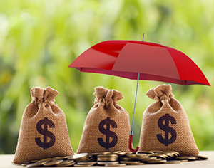 תיק השקעות מנוהל – הבחירה הטובה ביותר לעתיד שלכם