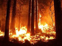 התמודדות על שריפה