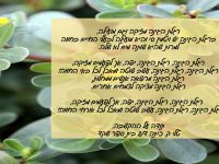 רגלת הגינה - עשב טוב או רע?