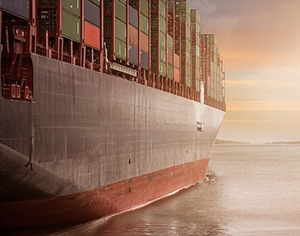 בחירת חברת שילוח לישראל