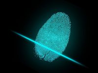 מהי כספת ביומטרית?