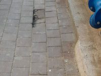 בת 14 שנפלה במדרכה ושברה הקרסול תובעת מאות אלפי שקלים מהעיריה