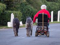 המדריך המלא לרכישת קלנועית