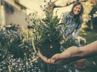 אביב הגיע זה הזמן לשתול בגינה