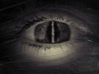 חוזרים למוזיאון!!