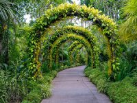 איך תמצאו את הגנן הכי מוכשר שישדרג לכם את הגינה