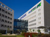 בן נולד לאלמנתו של יוסף גרינבאום שנהרג באסון במירון.