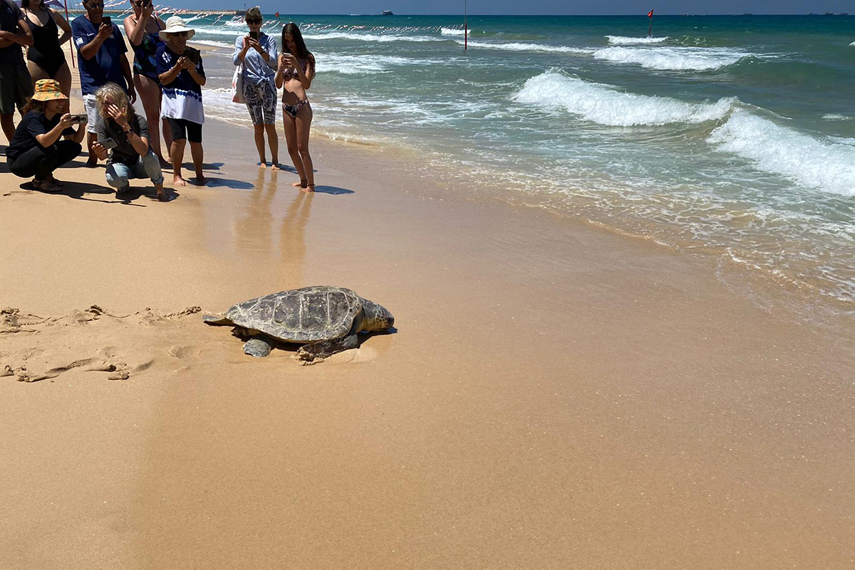 "אחא" ו"עדי-שמעון" חזרו לים