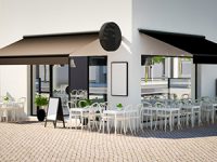 סוככי זרועות