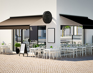 סוככי זרועות