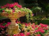 כל מה שחשוב לדעת על תחזוקת גינה חכמה