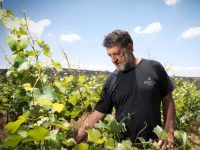 הסיפור הנפלא מאחורי יקב כישור 