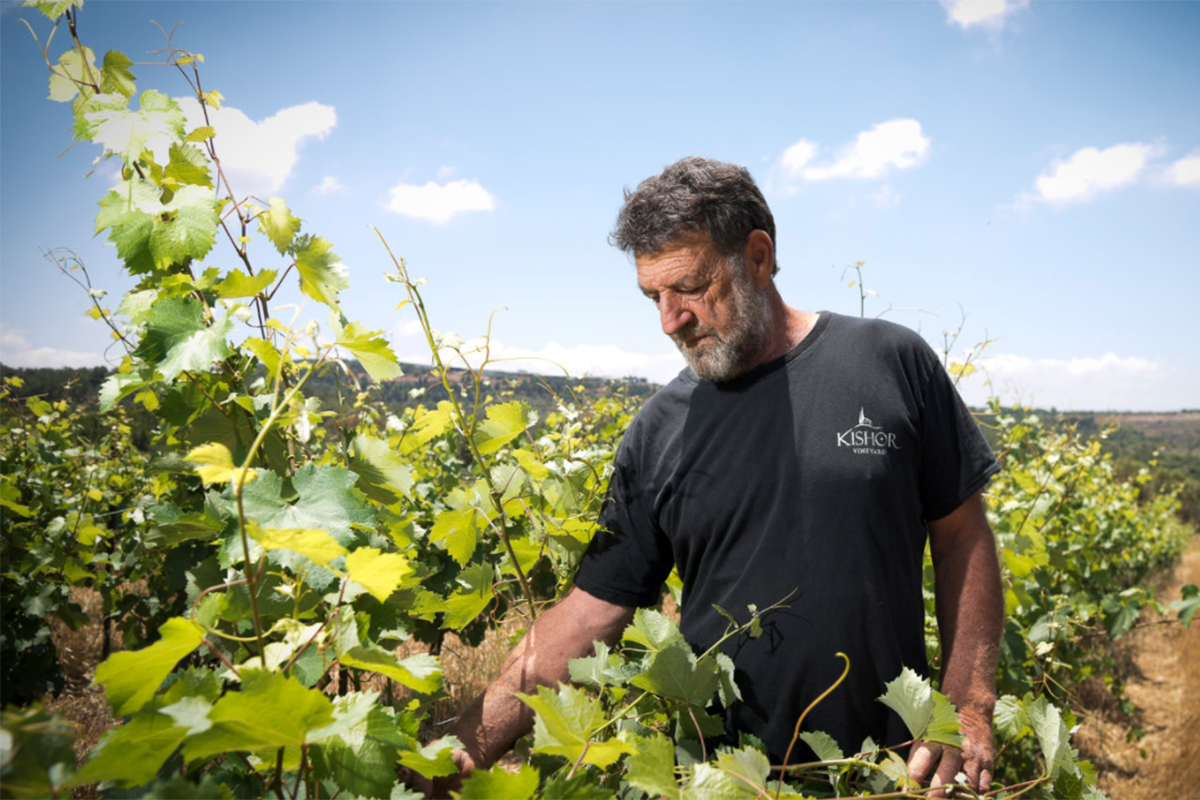 הסיפור הנפלא מאחורי יקב כישור 