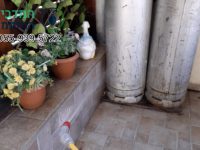 חיפוש אחר מדביר באשדוד