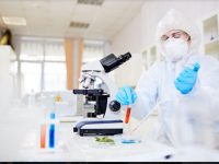 הדרכת עובדים במעבדה