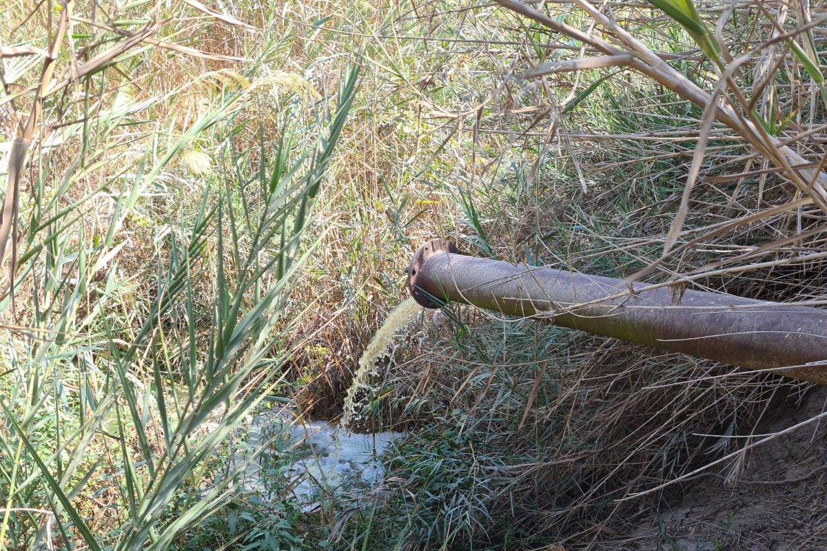 התראה כנגד מועצת באר טוביה להפסקת הזרמת קולחים לנחל לכיש
