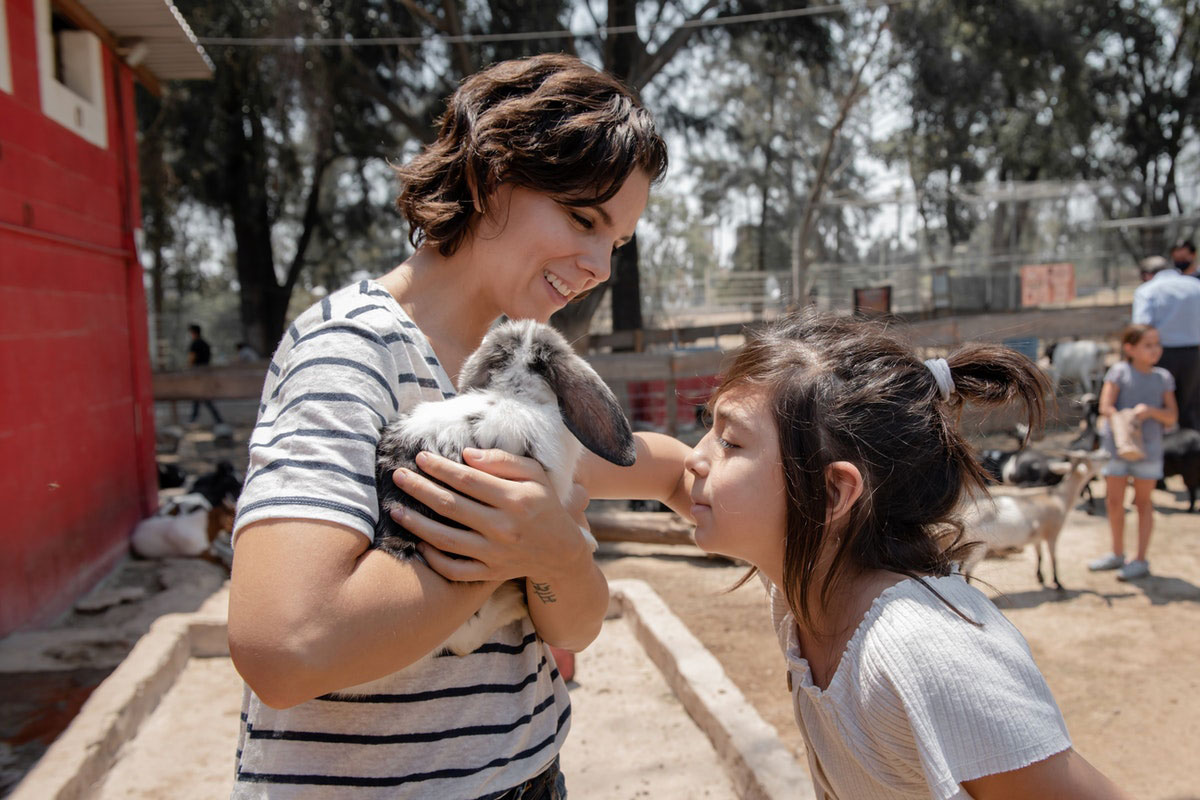 חיות המחמד הפופולריות ביותר לילדים