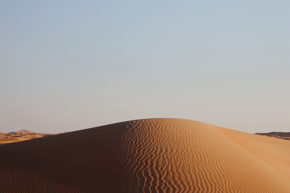 המִדְבּוּר – והשפעותיו ההרסניות