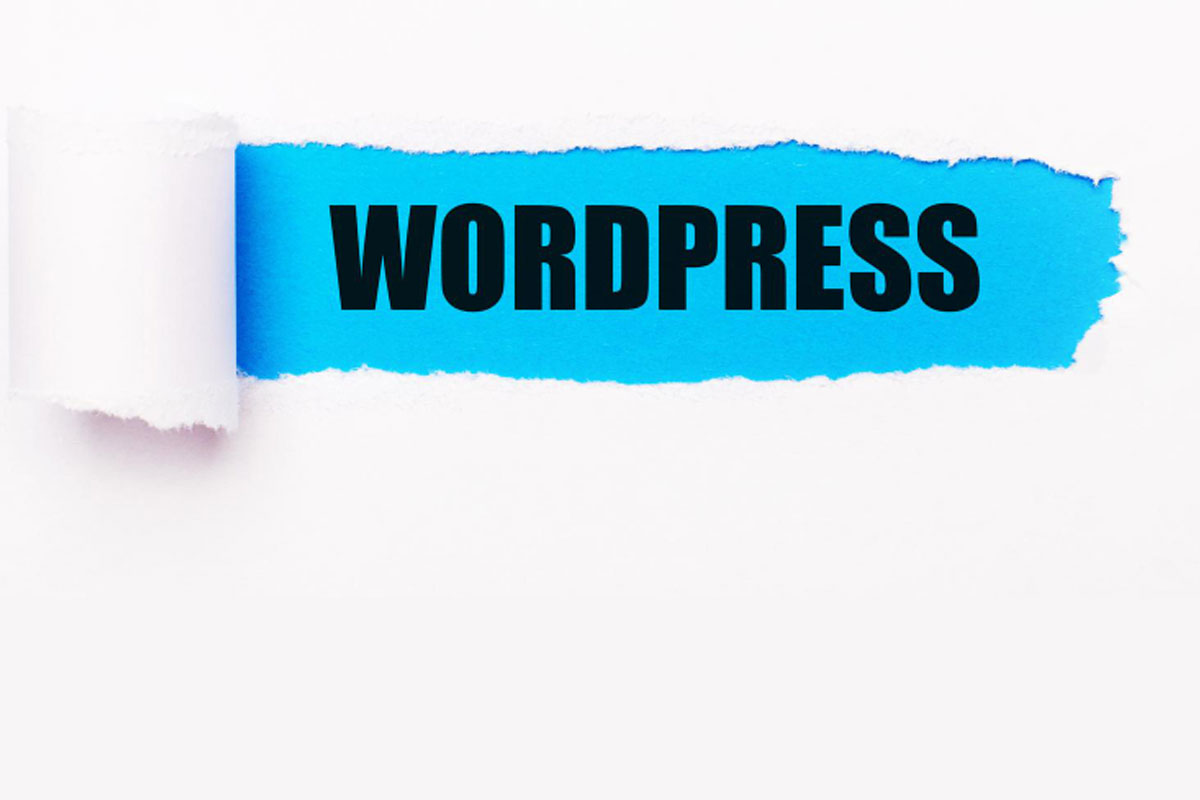 בדיקת מהירות אתר – מה אתם צריכים לדעת?