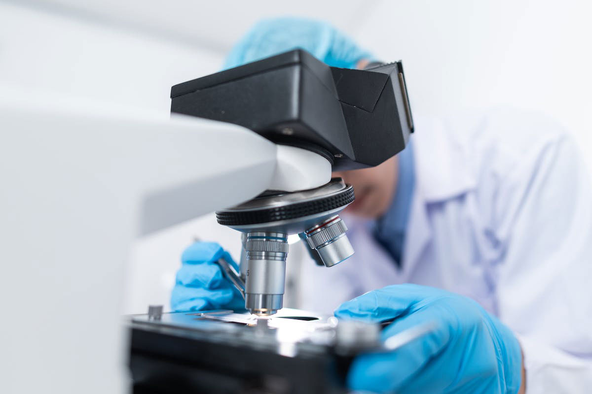 כיצד לבחור באיזה בית ספר לרפואה ללמוד?