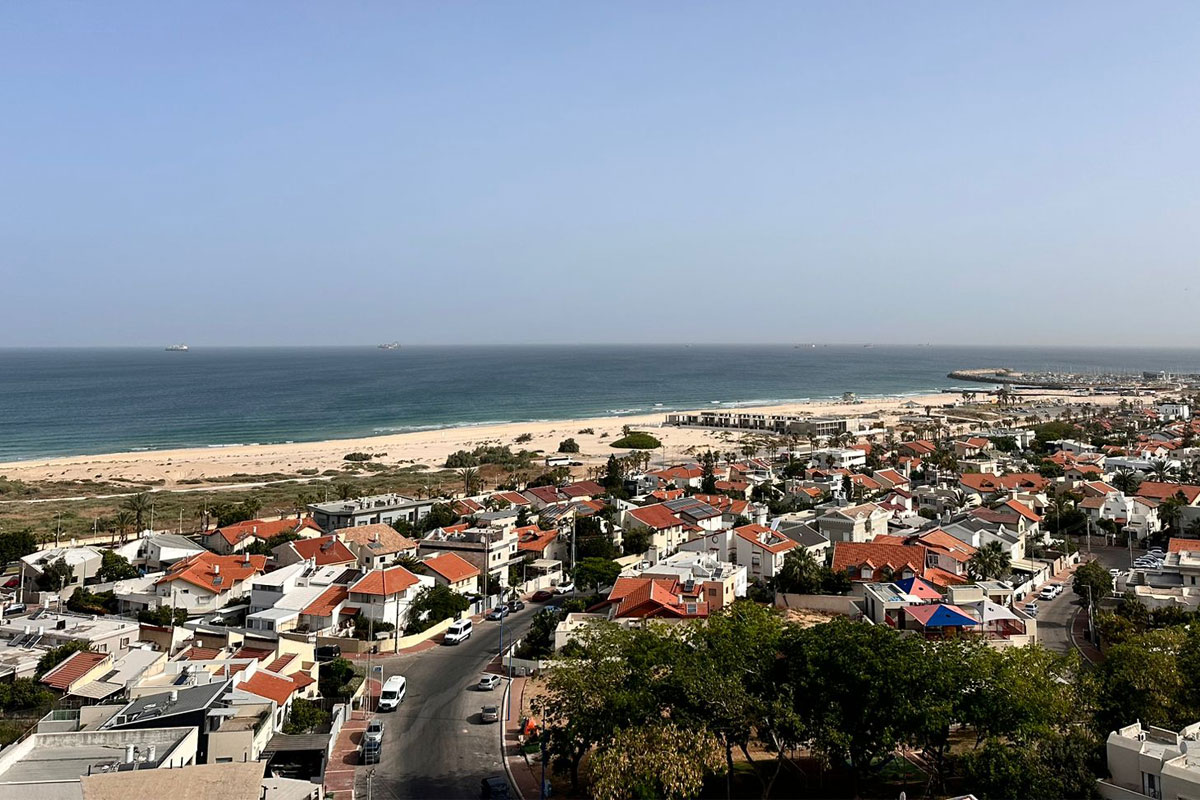 בוקר שרבי עד שעות הצהריים