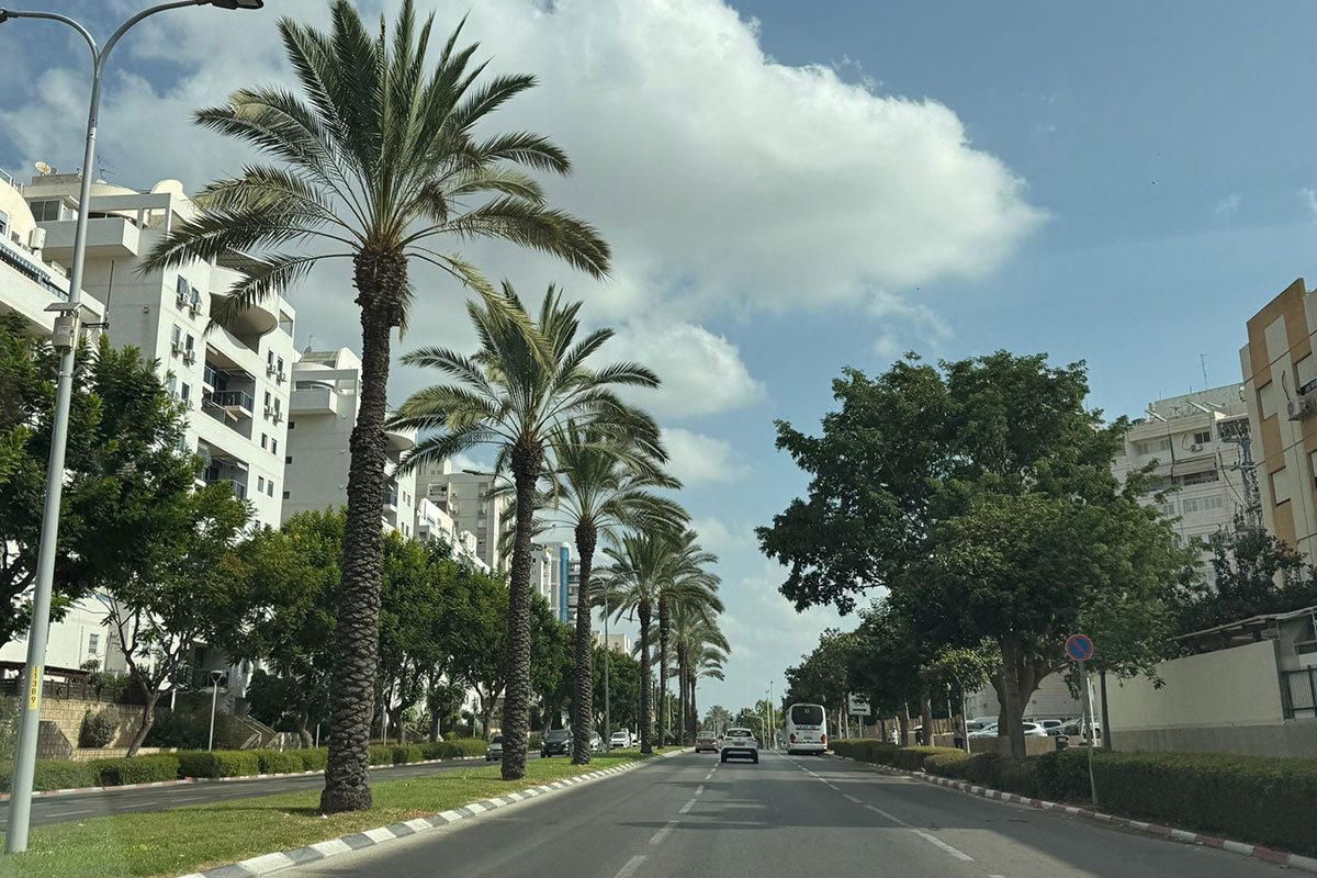 אשדוד ערוכה לחג!