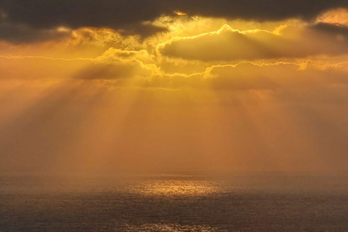 הסליחה: אומץ, ריפוי וקושי