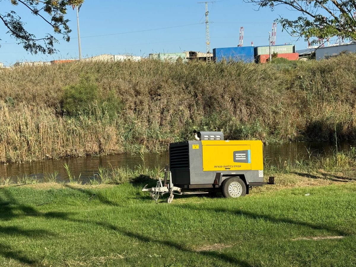 מבצע עירוני בנחל לכיש - אלפי דגים ניצלו