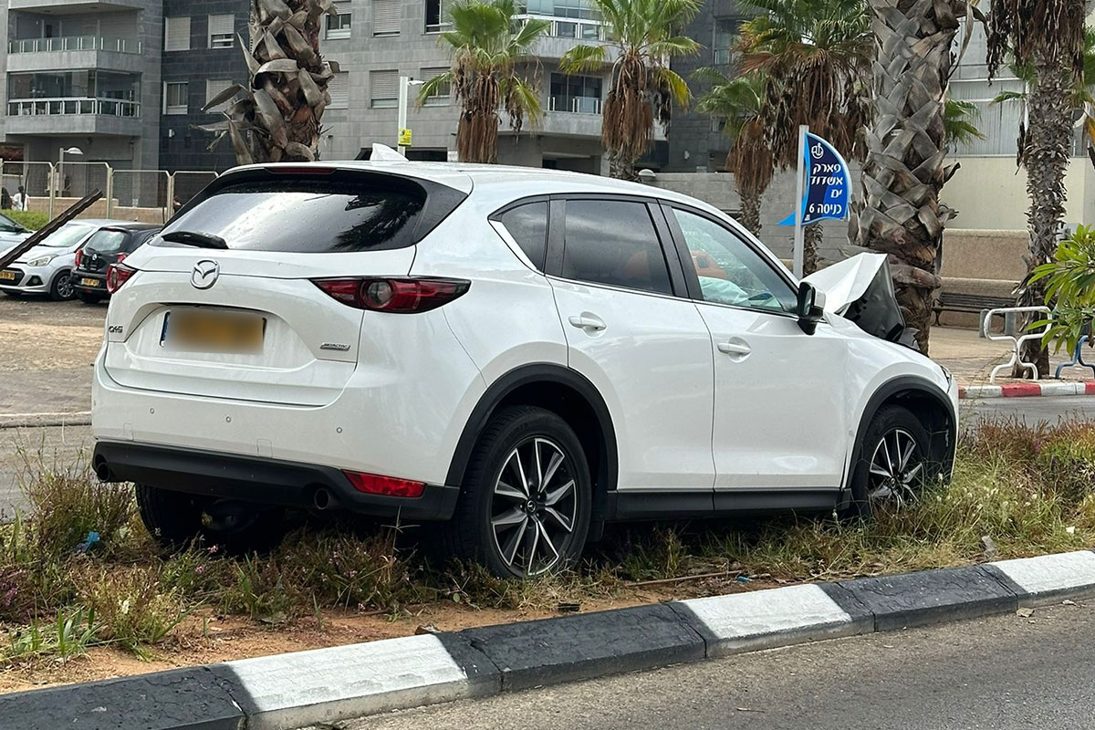 זה מקום לשים עץ? תאונה חזיתית באקסודוס