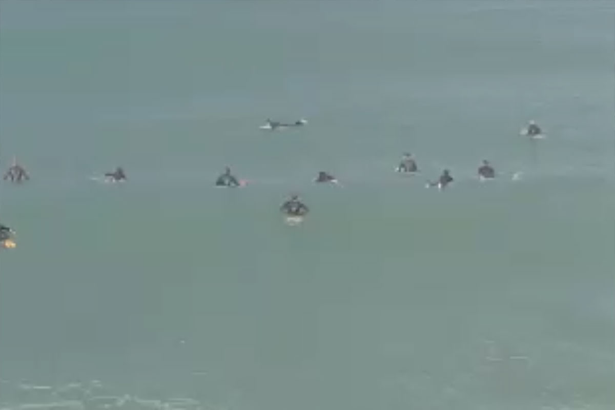 תיעוד וידאו: האם הגשם עצר את הגולשים