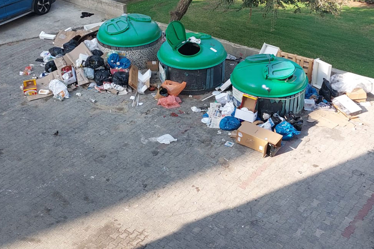 כבר הגיעו… אבל פינו חצי מכמות הזבל