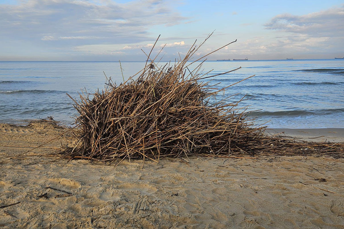 מטפלים בנזקי ביירון בחופים