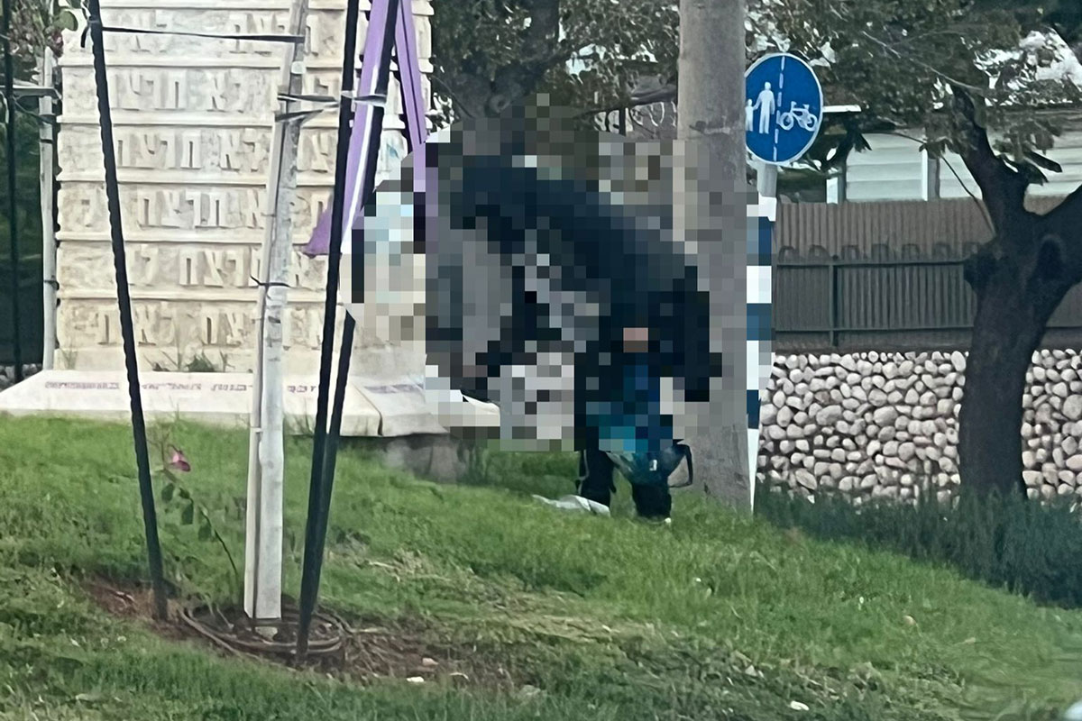 מבצע משולב הביא לתפיסת הוונדליסט שהשחית את העיר