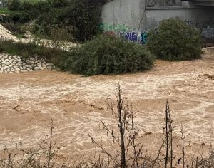 עיריית אשדוד התמודדה עם הסופה בכבוד