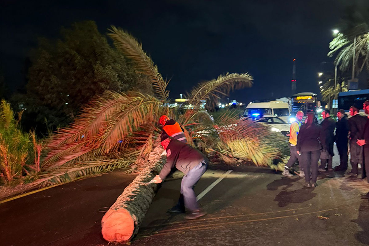 הלילה עבר בשלום, הבוקר מתמקדת העירייה במוסדות החינוך