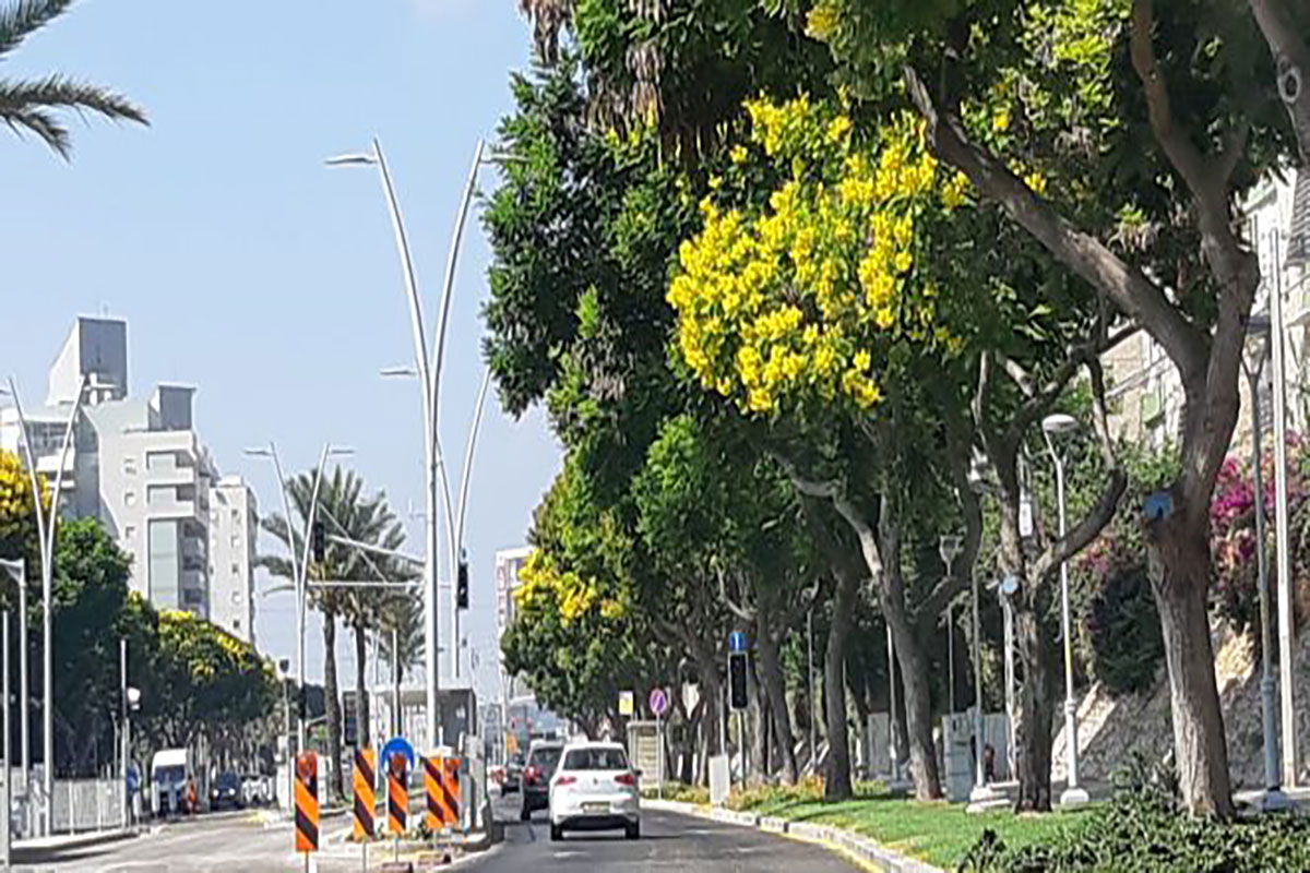 מתחם הרצל באשדוד לפני שינוי עמוק: מאות דירות חדשות במקום שיכוני שנות ה-50