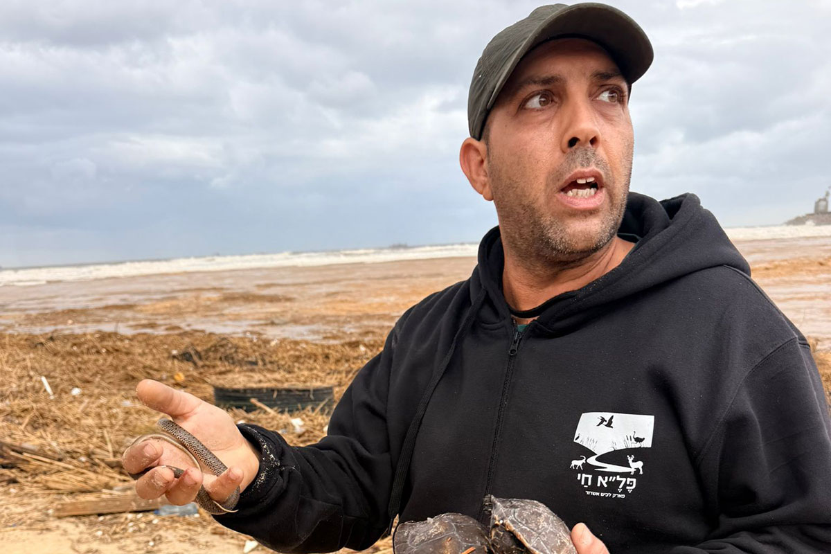 שיא של 3 עשורים בנחל לכיש וסחף חריג של בעלי החיים