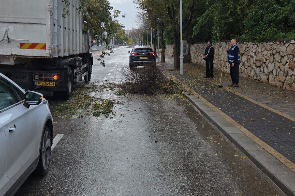סערה חריגה, 10 עצים קרסו