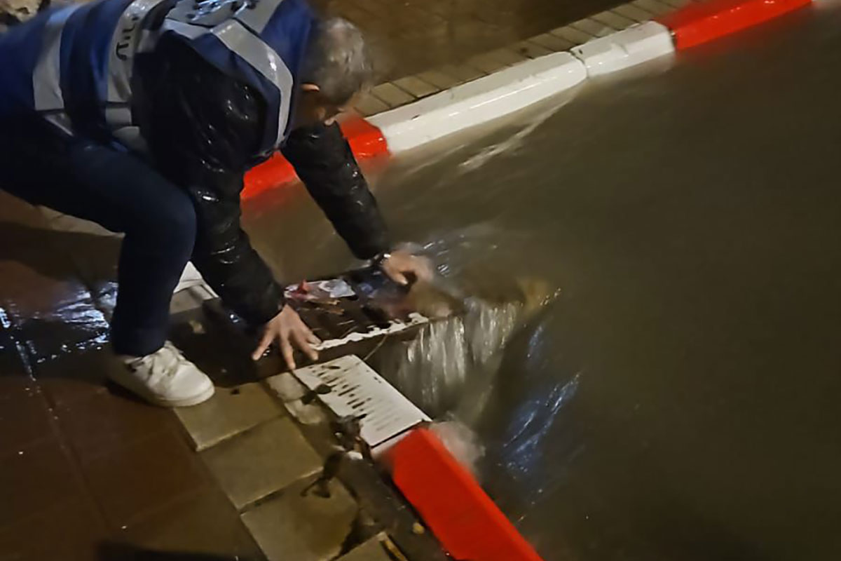 מערכת משקעים סוערת, העיר בשגרה מלאה ללא אירועים חריגים