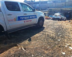 מבצע אכיפה וניקיון בצפון אשדוד: פינוי פסולת, טיפול ברכבים נטושים ואכיפה מוגברת