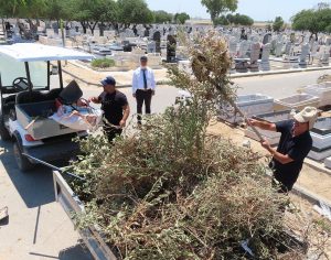 מבצע ניקיון ענק ויסודי בכל שטח בית העלמין נעשה בשבוע האחרון.