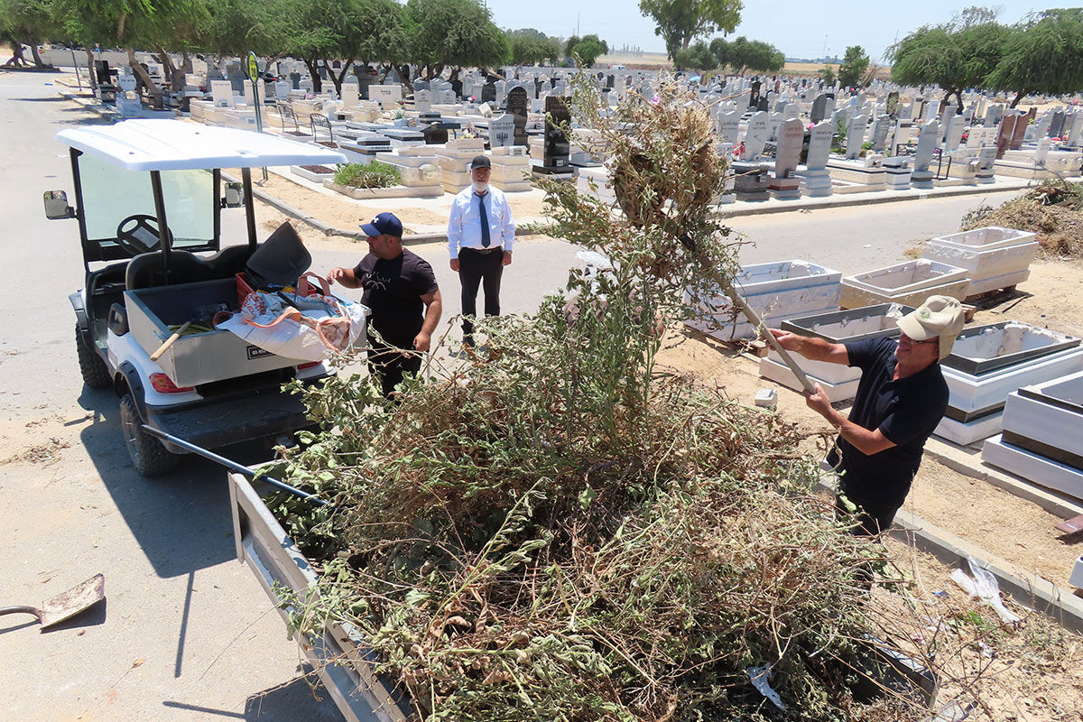 מבצע ניקיון ענק ויסודי בכל שטח בית העלמין נעשה בשבוע האחרון.