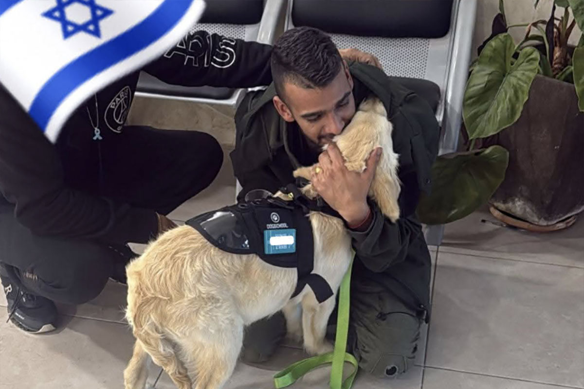 "אני לא מחפש רחמים, אני מבקש שיקום אמיתי": הלום הקרב נאור טווינה זועק בשם אלפי לוחמים